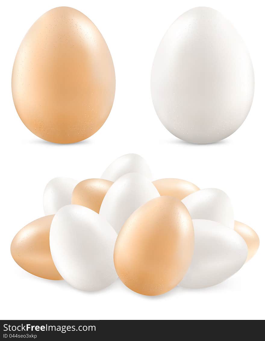 White and yellow eggs on background, vector illustration. White and yellow eggs on background, vector illustration