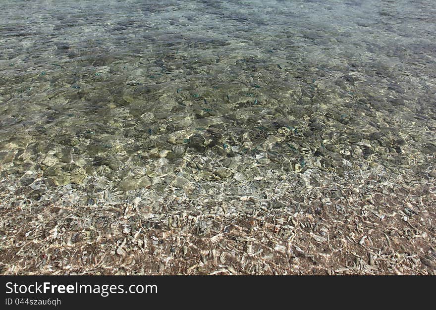 Ocean Beach, Koh Tao Island, Thailand, South East