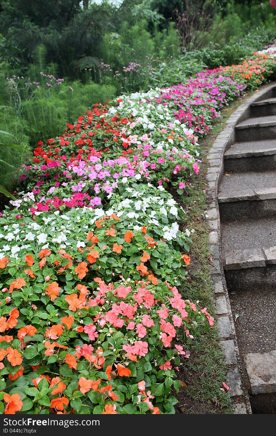 Nicely Arranged Flowerbed In A Garden