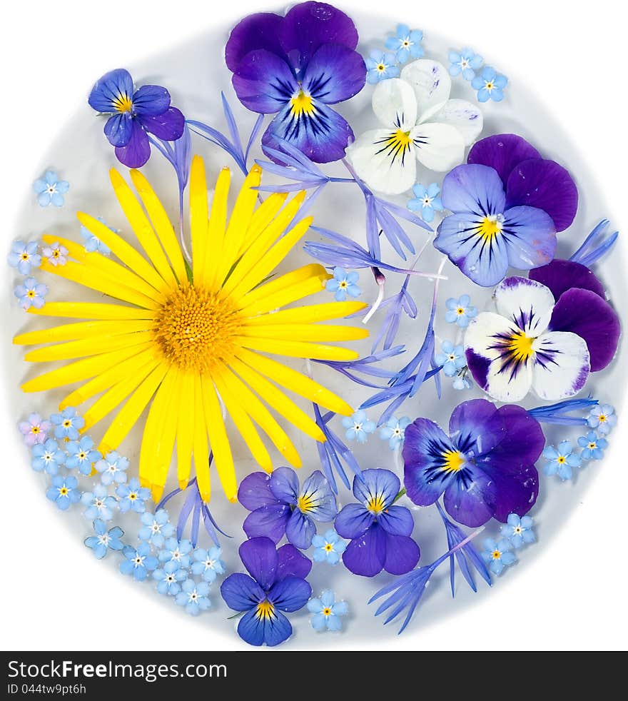 Yellow daisy and purple flowers floating in water in a bowl on a white background