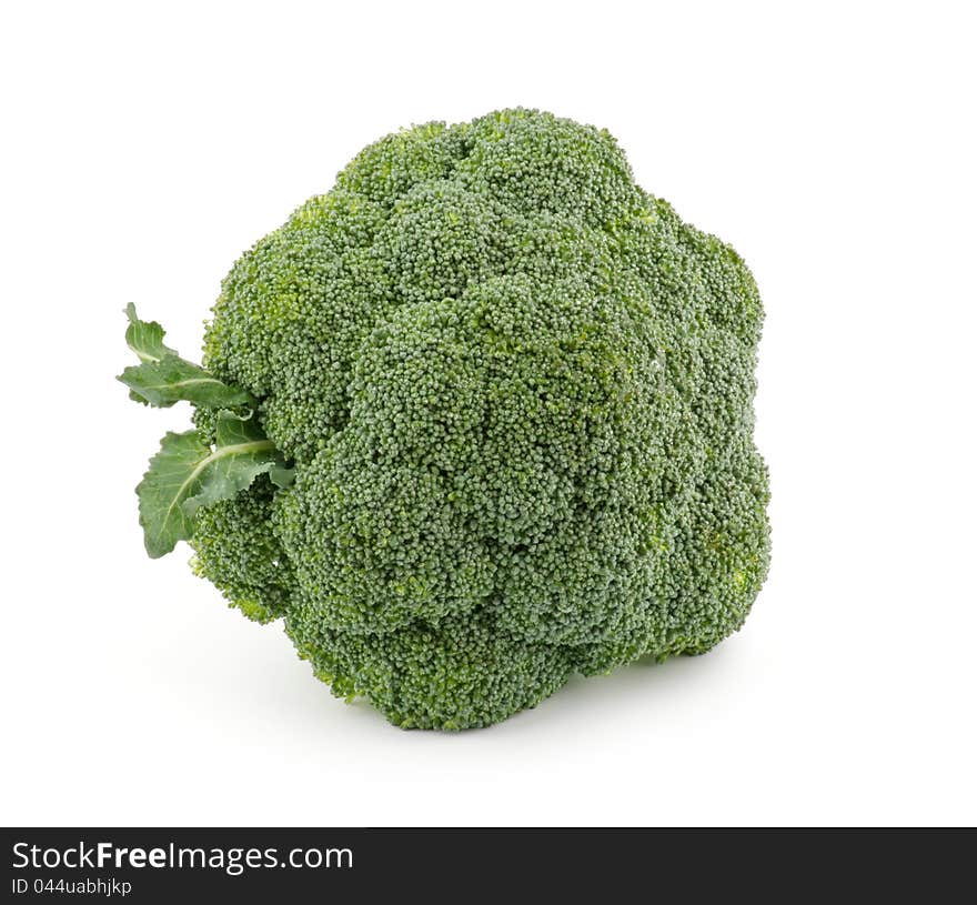 Single broccoli floret isolated on white background