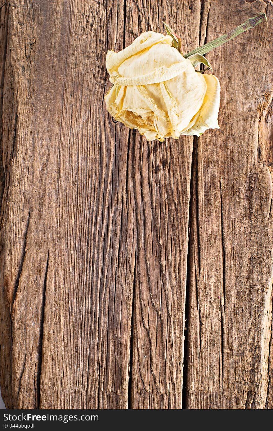 Dry rose on old wood background with copy space. Dry rose on old wood background with copy space