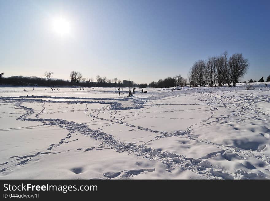 Winter landscape