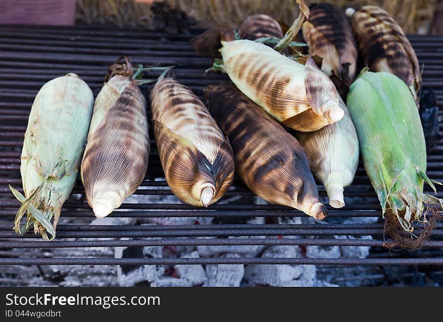 Roasted sweet corns on the grill. Roasted sweet corns on the grill