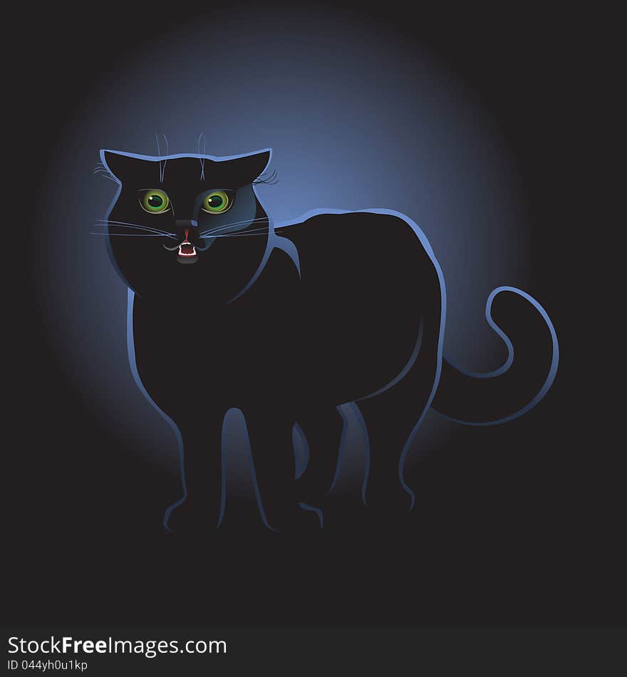 Black cat