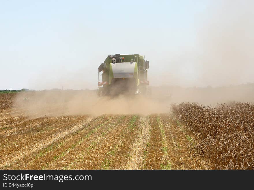 Combine harvester in field wheat