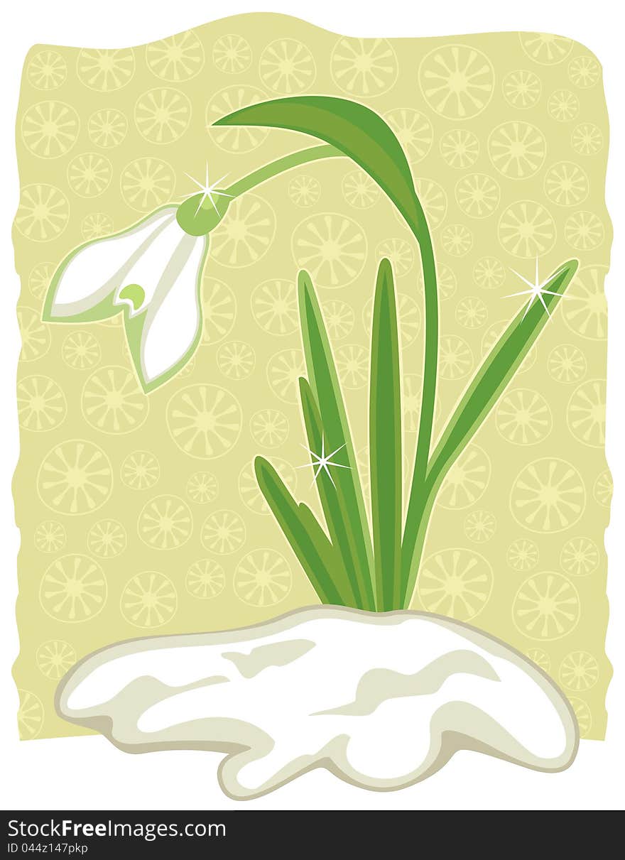 Snowdrop emerged from snow on decorative background