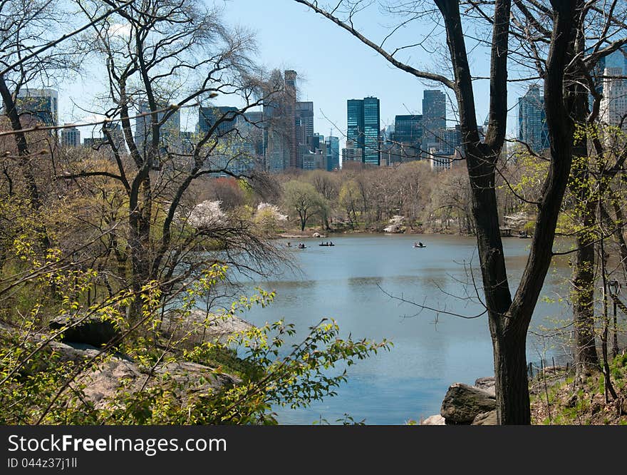 View of central park of lake and skyscrapers