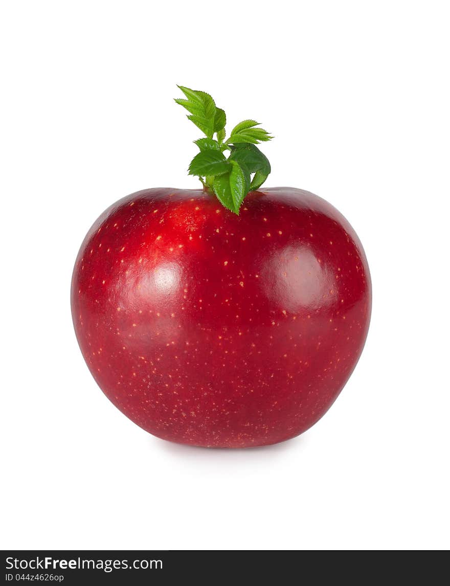 Red apple with leaves on white background