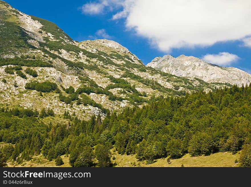 Mountain scenery, National park Durmitor