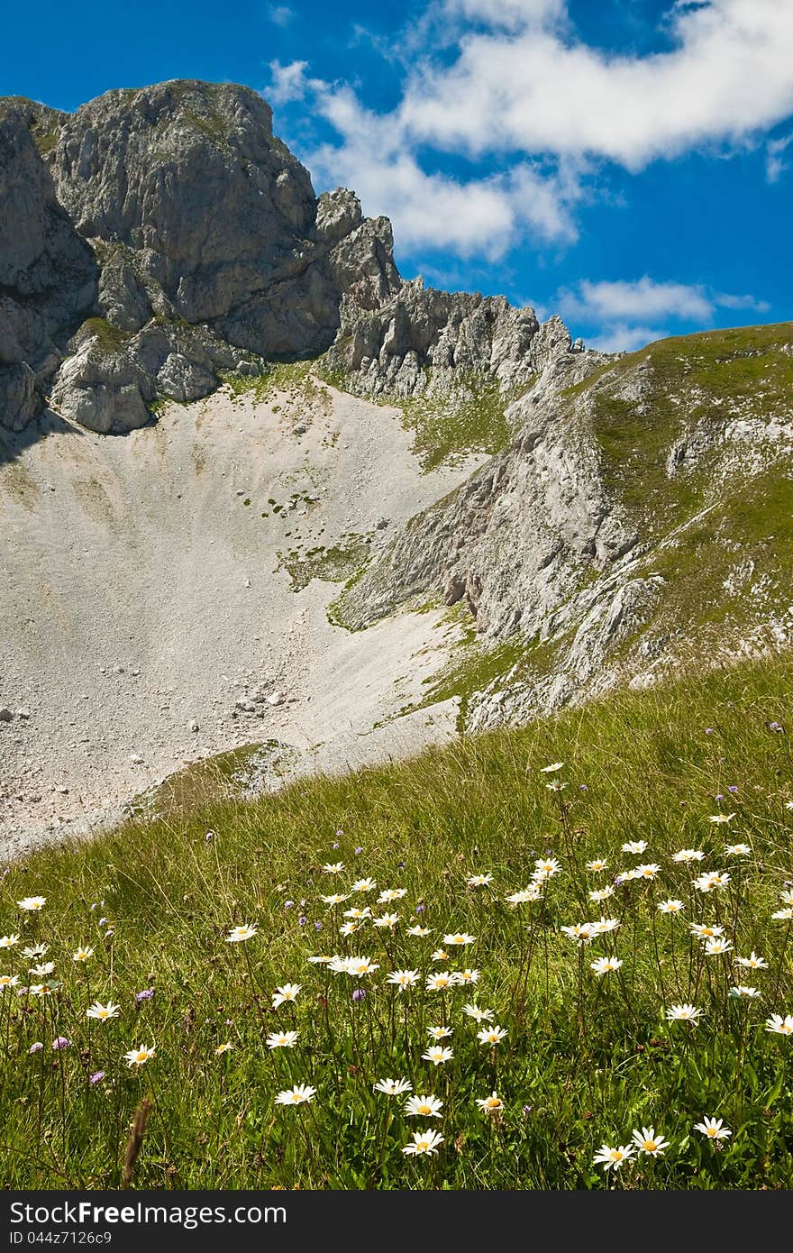 Beautiful mountain landscape with flowers