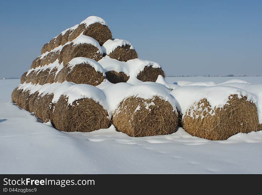 A straw is in the snow-bound field