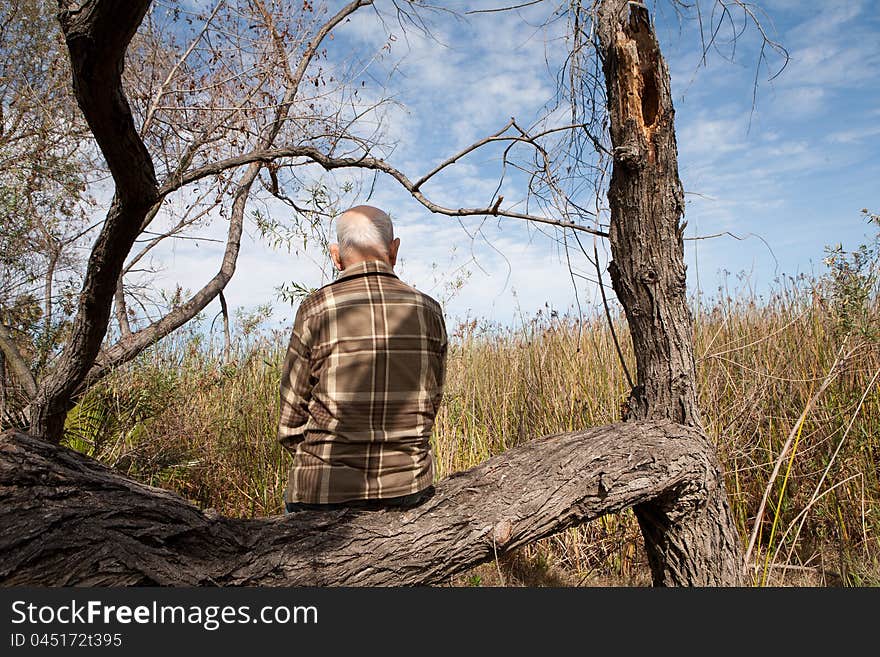 Lonely old man sitting on tree and looking at the landscape. Lonely old man sitting on tree and looking at the landscape