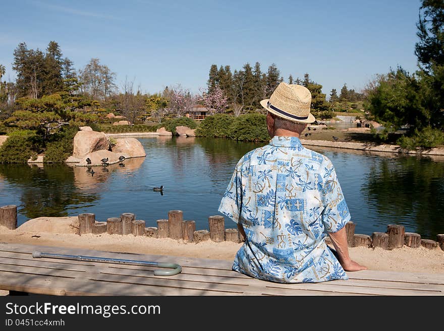 Old man sitting on the bench watching a duck on the lake. Old man sitting on the bench watching a duck on the lake