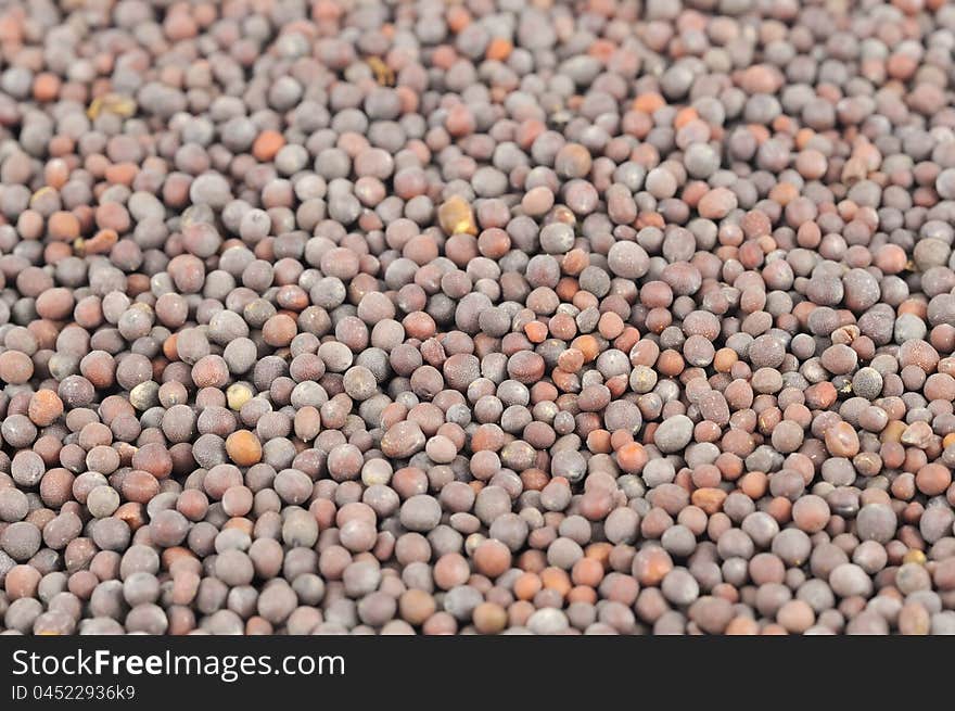 Black Mustard Seeds Close-Up