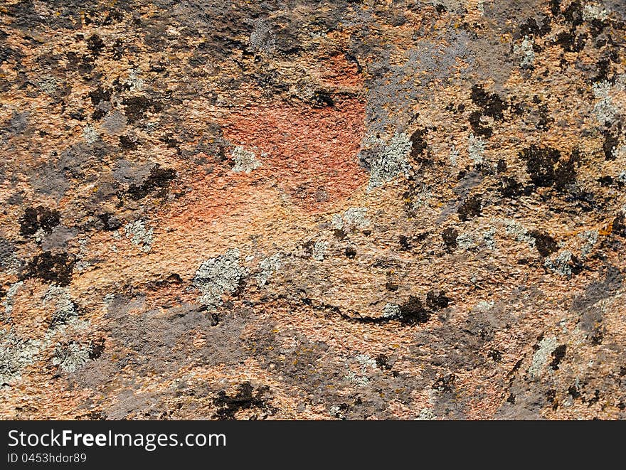 A red rock texture with lichens