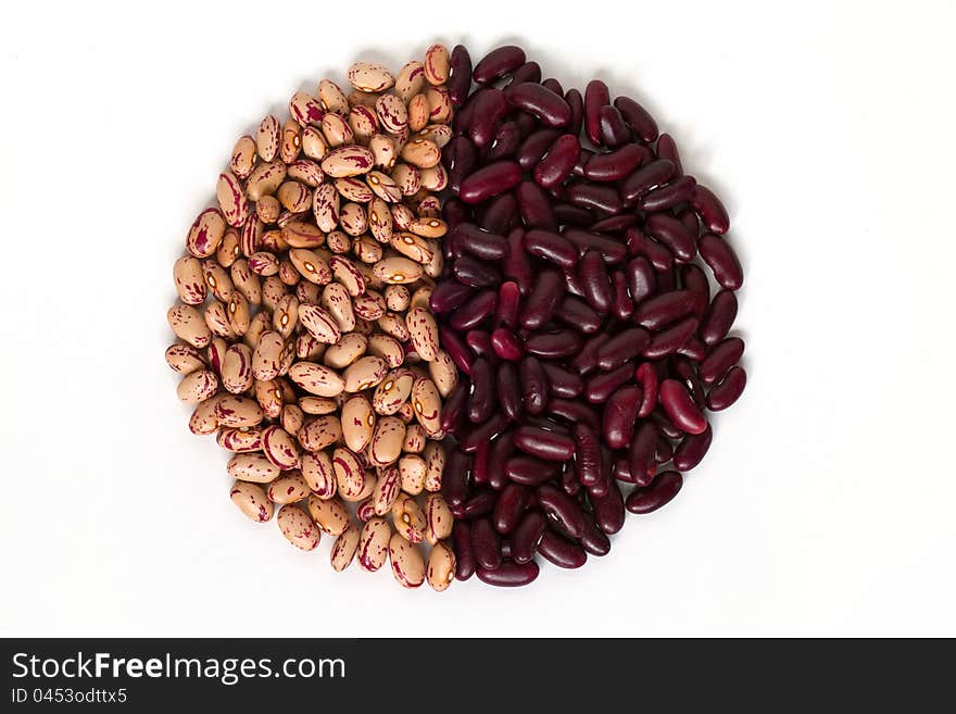 Common beans