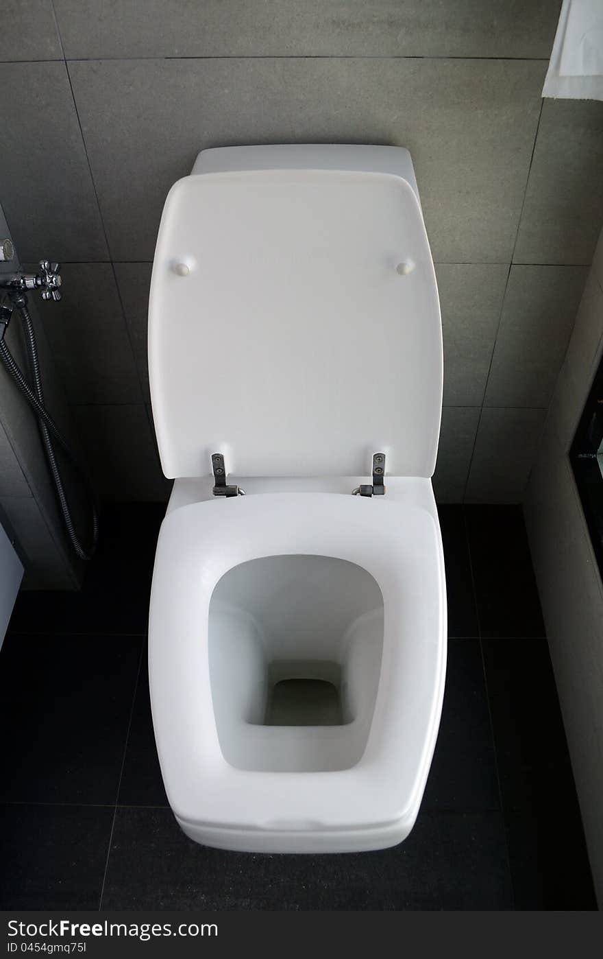 A white ceramic toilet bowl in lavatory. A white ceramic toilet bowl in lavatory