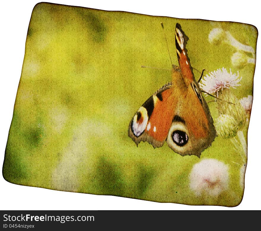 Abstract vintage background with colorful butterfly, texture. Abstract vintage background with colorful butterfly, texture