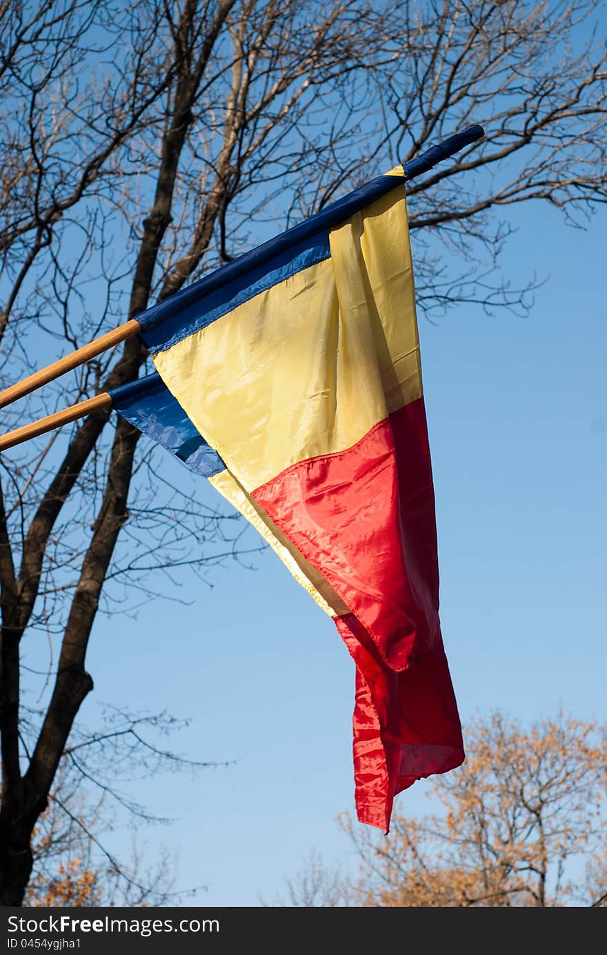 The romanian flag waving in a park