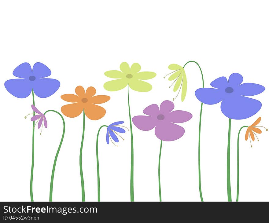 Beautiful flowers on white background. Beautiful flowers on white background