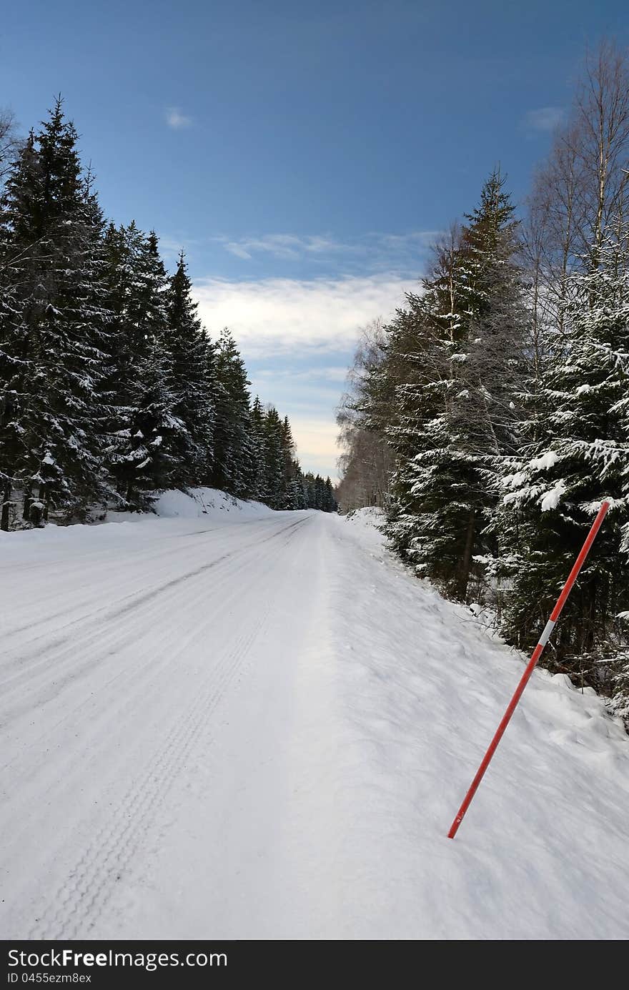 Winter vertical landscape for Swedish road. Winter vertical landscape for Swedish road