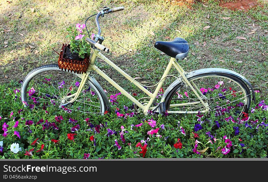 Old bicycle with flowers in the front basket,parked in the garden