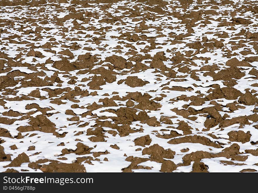 Agriculture Land In Winter