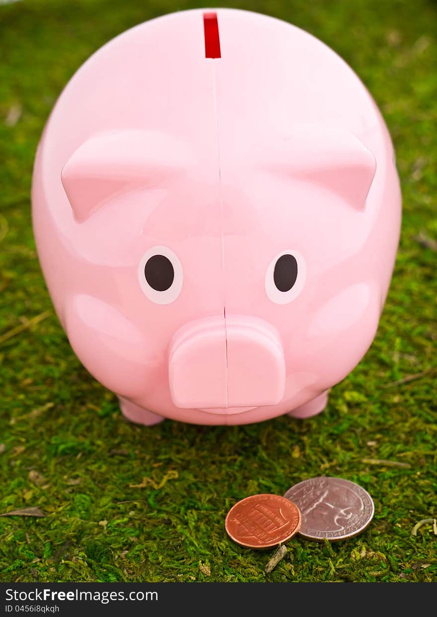 Piggy Bank Grazing