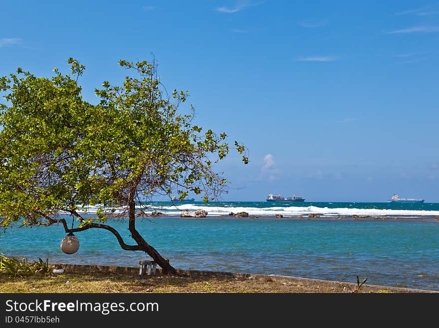 Reef along Galeta Island at the Smithsonian research station with ships coming from the Panama canal in the background. Reef along Galeta Island at the Smithsonian research station with ships coming from the Panama canal in the background.