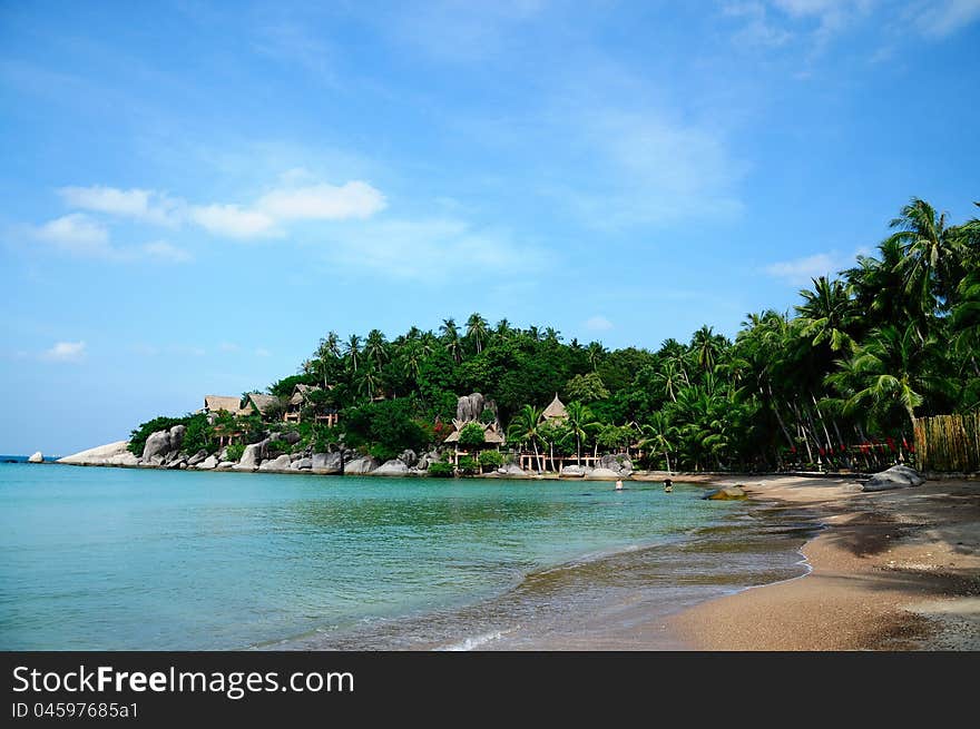 Tropical Beach