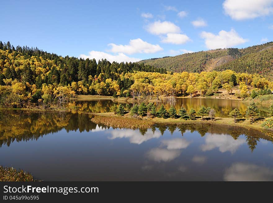 Lake,Forest