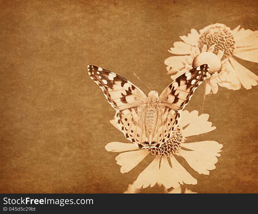 Vintage paper with colorful butterfly background, texture. Vintage paper with colorful butterfly background, texture