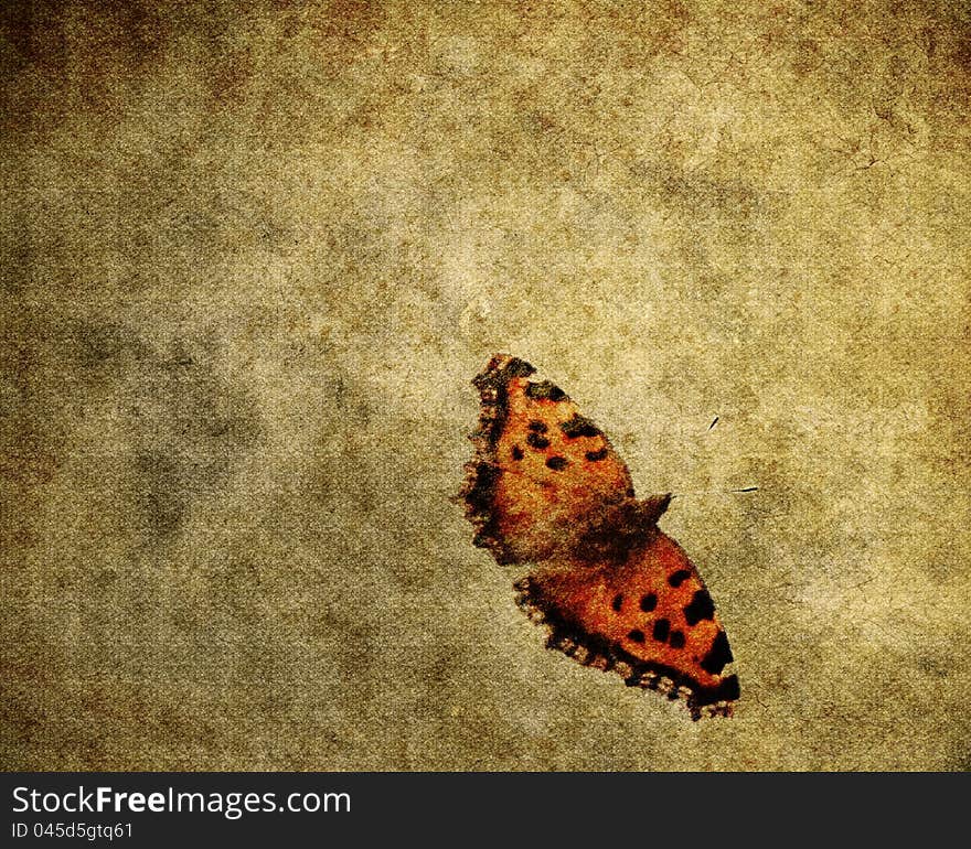 Vintage paper with colorful butterfly background, texture. Vintage paper with colorful butterfly background, texture