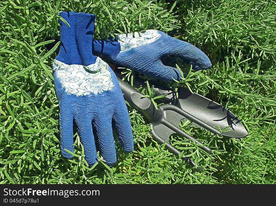 Gloves and Garden Shovel and rake, spring time