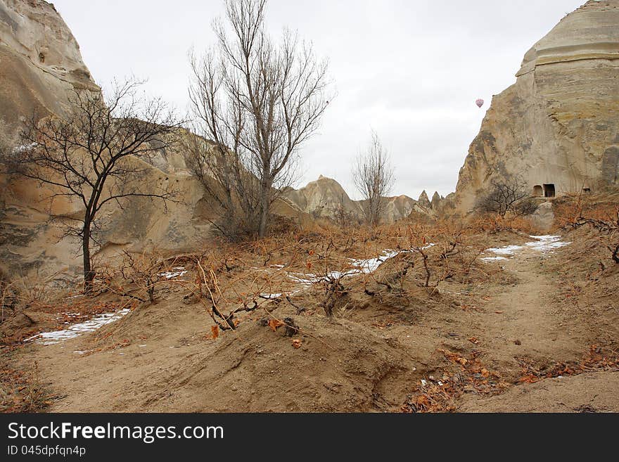 The Valley With The Grape Bushes In Cappadocia