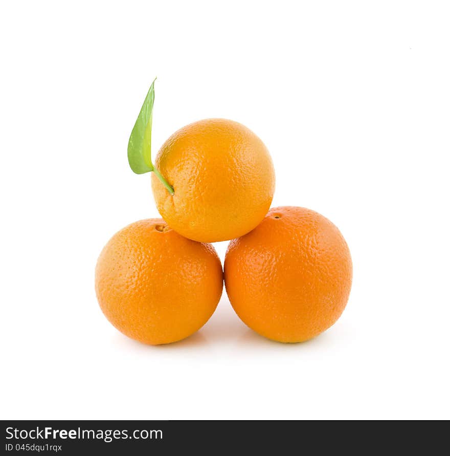 Three oranges lie a small group