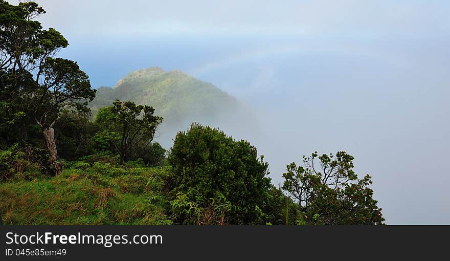 Kalalau Valley Overlook, Kauai &x28;Hawaiian Islands&x29