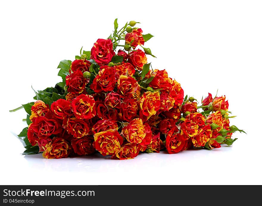 Bunch of red roses  isolated on white background