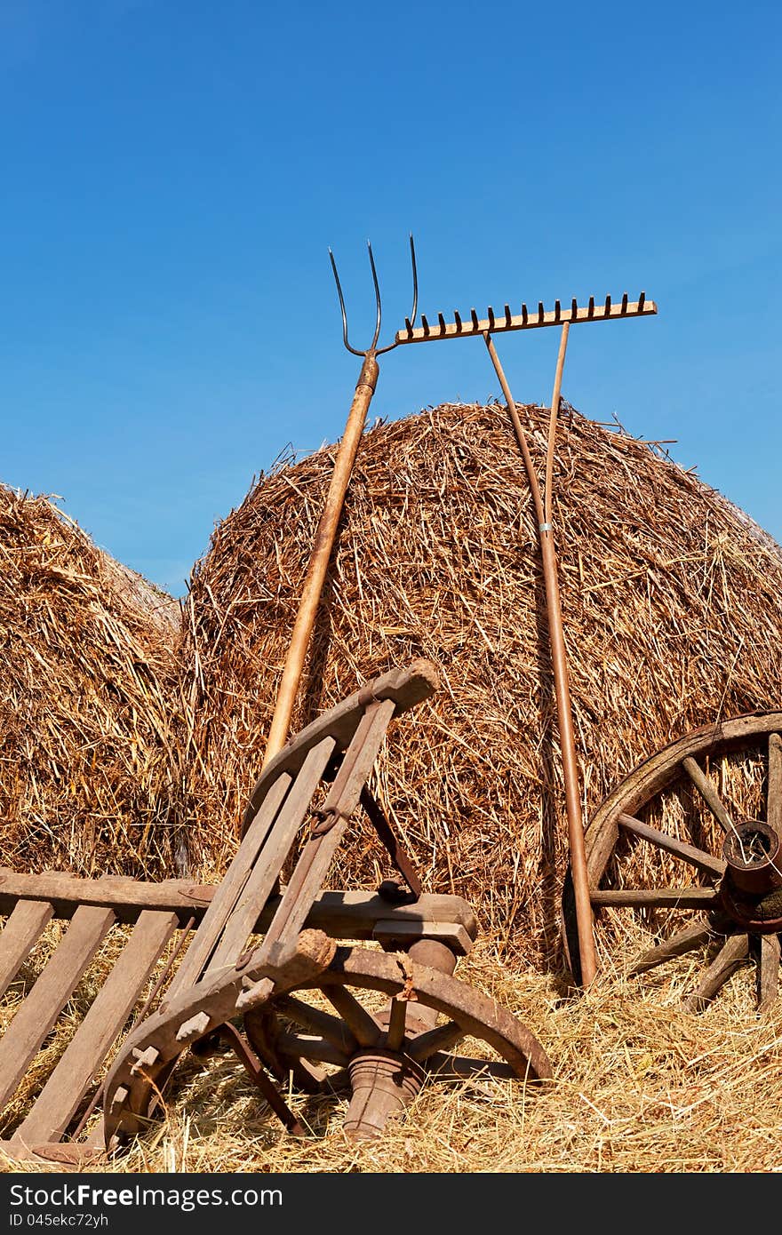 Agriculture background.