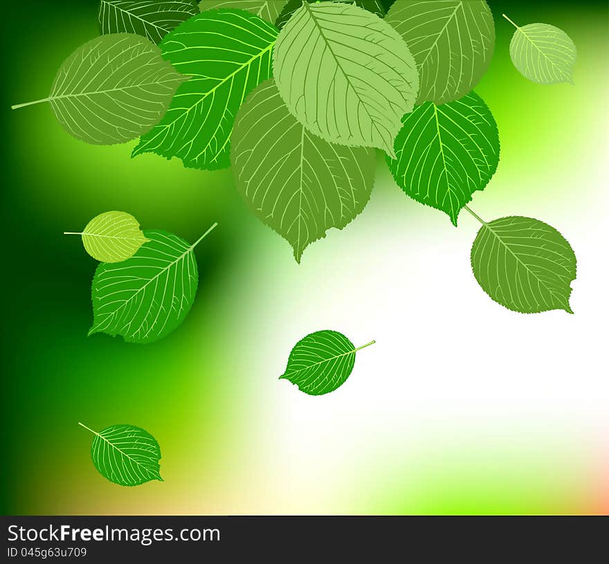 Fresh green leaves abstract background. Fresh green leaves abstract background