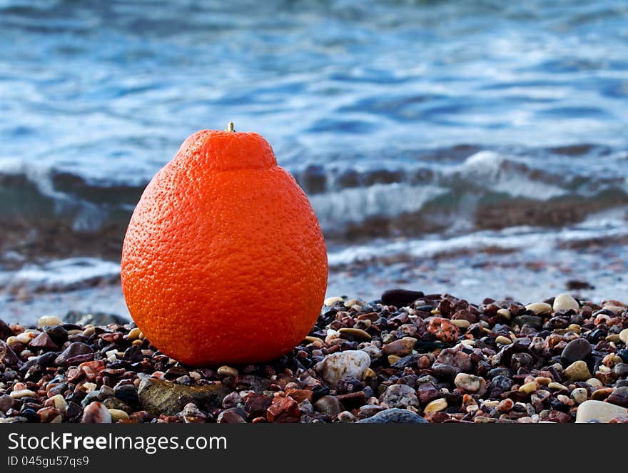 Orange On The Marine Beach