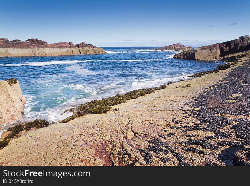 Rocks,sea and mussels