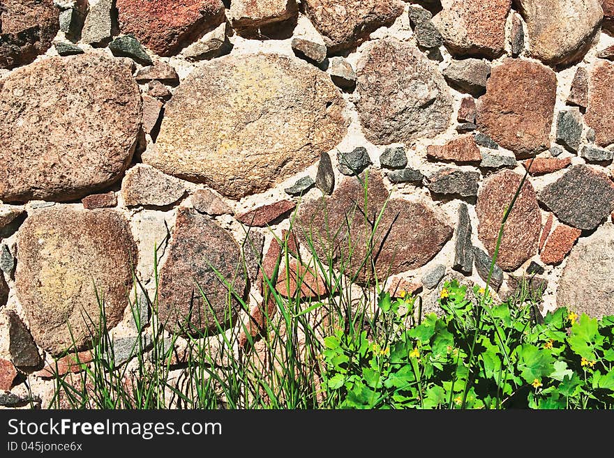 Green grass and flowers of celandine against ancient fortification. Gdov, Pskov region. Russia. Green grass and flowers of celandine against ancient fortification. Gdov, Pskov region. Russia