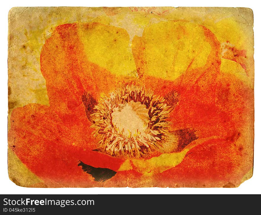 Red Poppy. Old postcard, design in grunge and retro style