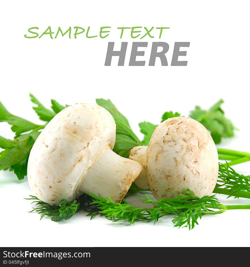 Mushrooms  on a white background