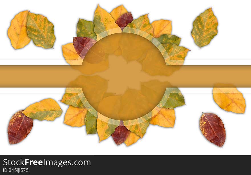 Autumn leaves forming colorful frame with copy space to write your message