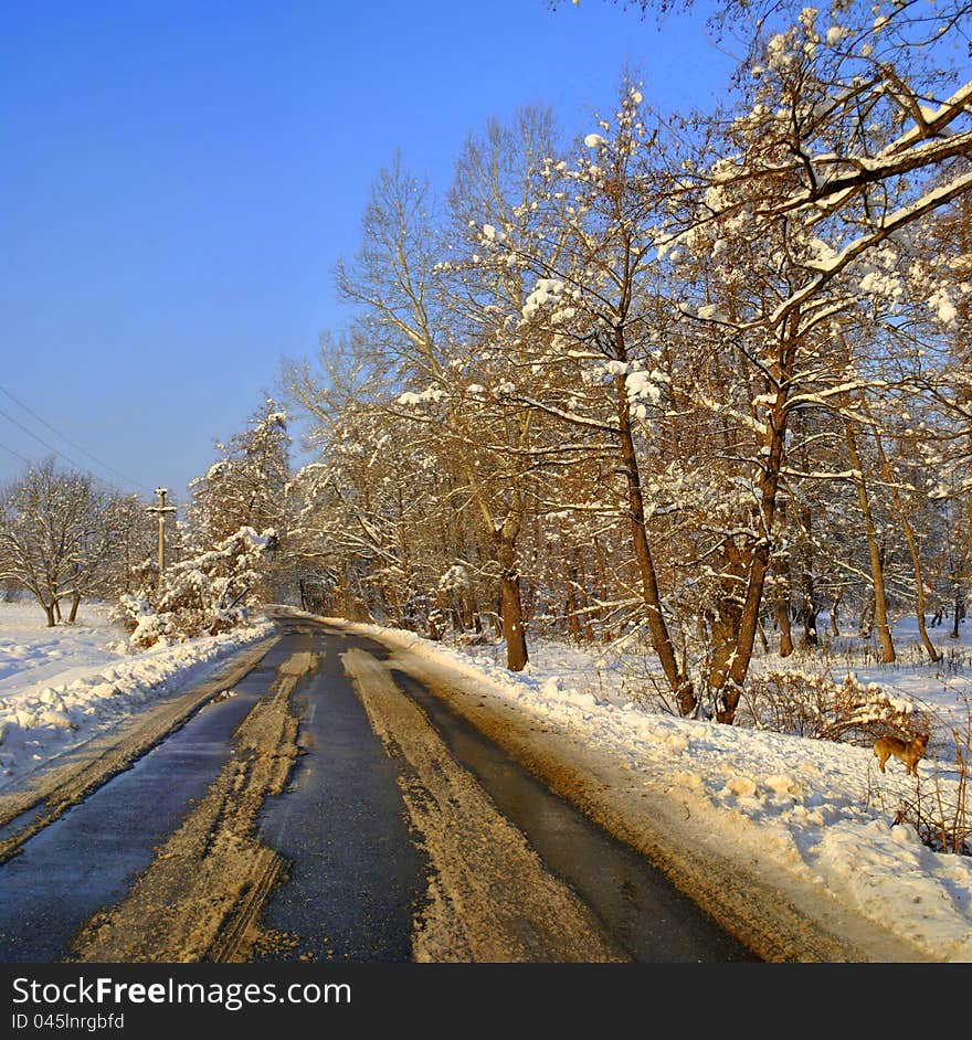 Image of a countryside road in the winter