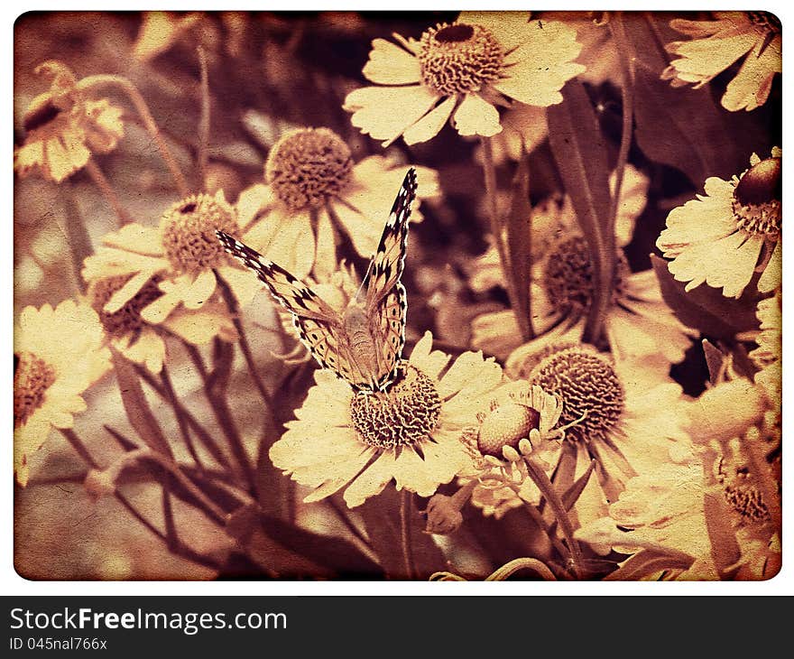 Abstract vintage background with colorful butterfly, texture. Abstract vintage background with colorful butterfly, texture