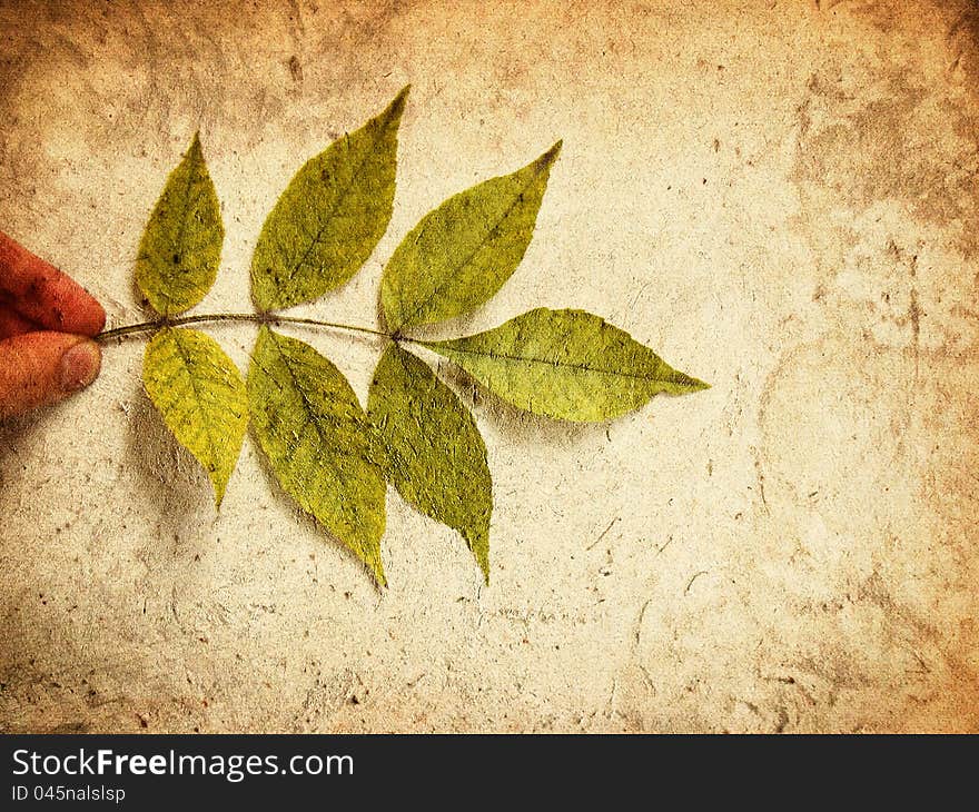 Grunge Leaves Abstract Background, Texture